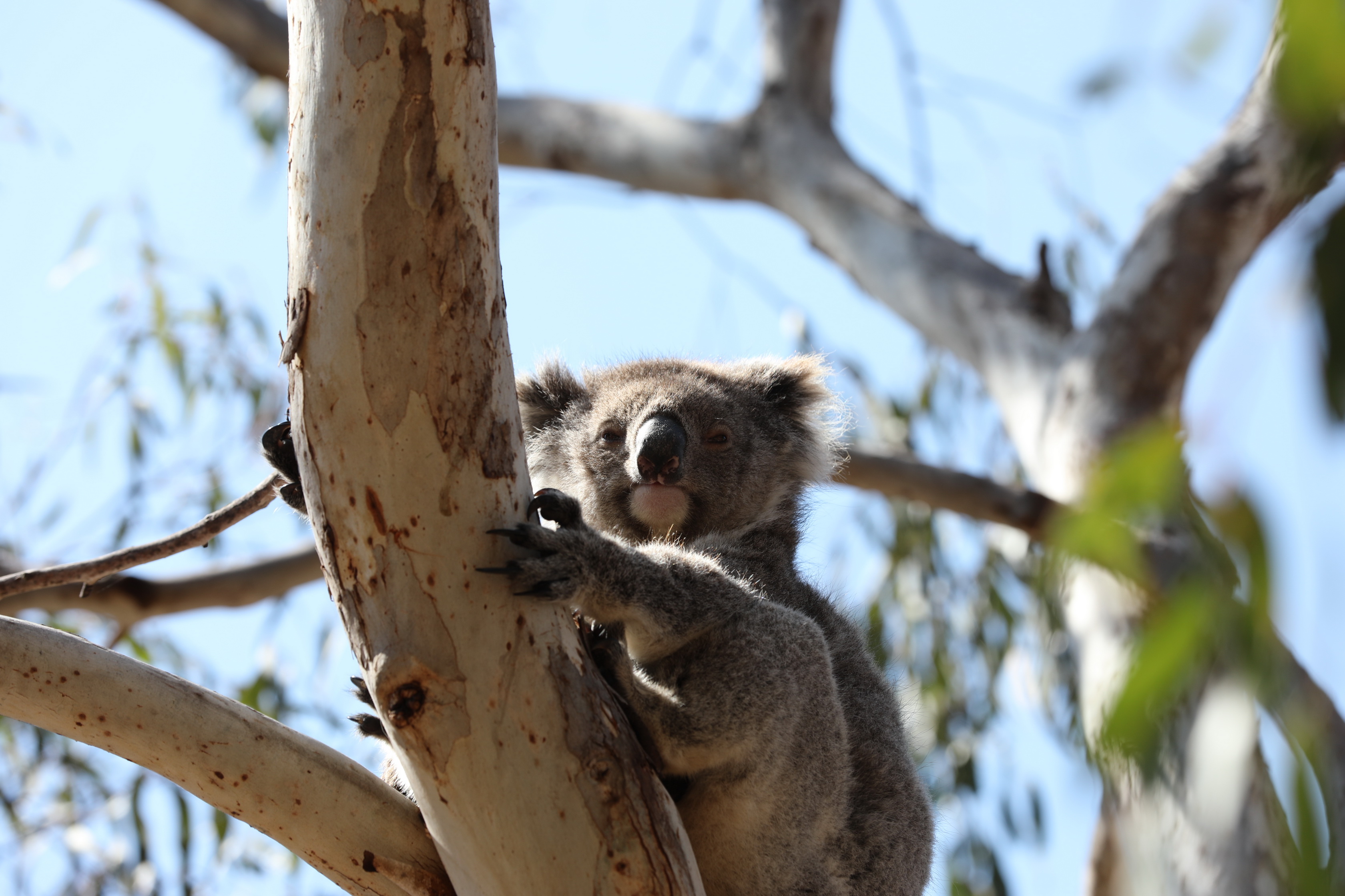 2019 10 01 10 39 09 Canon EOS 5D Mark IV 0007